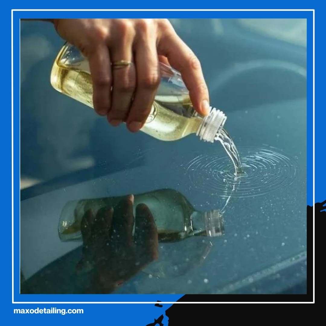 Cuma Modal Bahan Dapur! Ini Cara Menghilangkan Jamur Kaca Mobil Secara Alami yang Jarang Orang Tahu