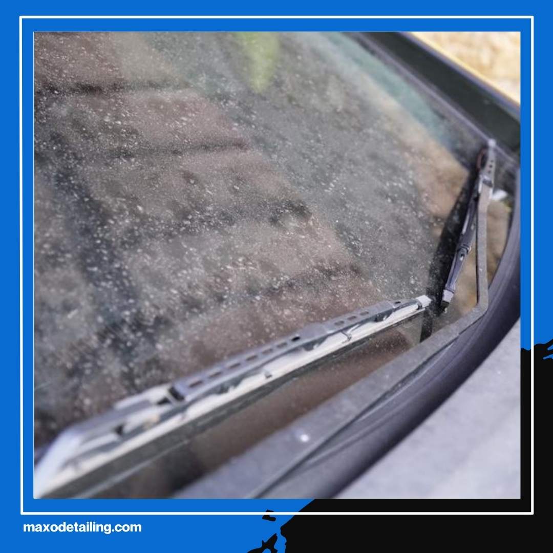 Bukan Karena Hujan Saja, Ini Bagaimana Proses Terjadinya Jamur Kaca Mobil yang Jarang Disadari Pemilik!