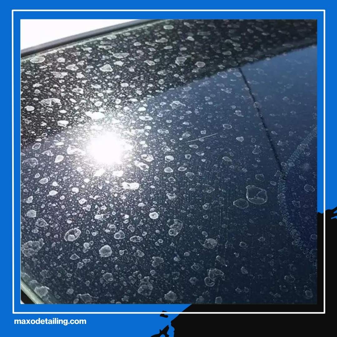 Pikir Dua Kali Sebelum Berkendara Jauh, Apakah Pembersih Kaca Mobil Kamu Sudah Ampuh Usir Jamur